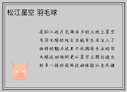 松江星空 羽毛球